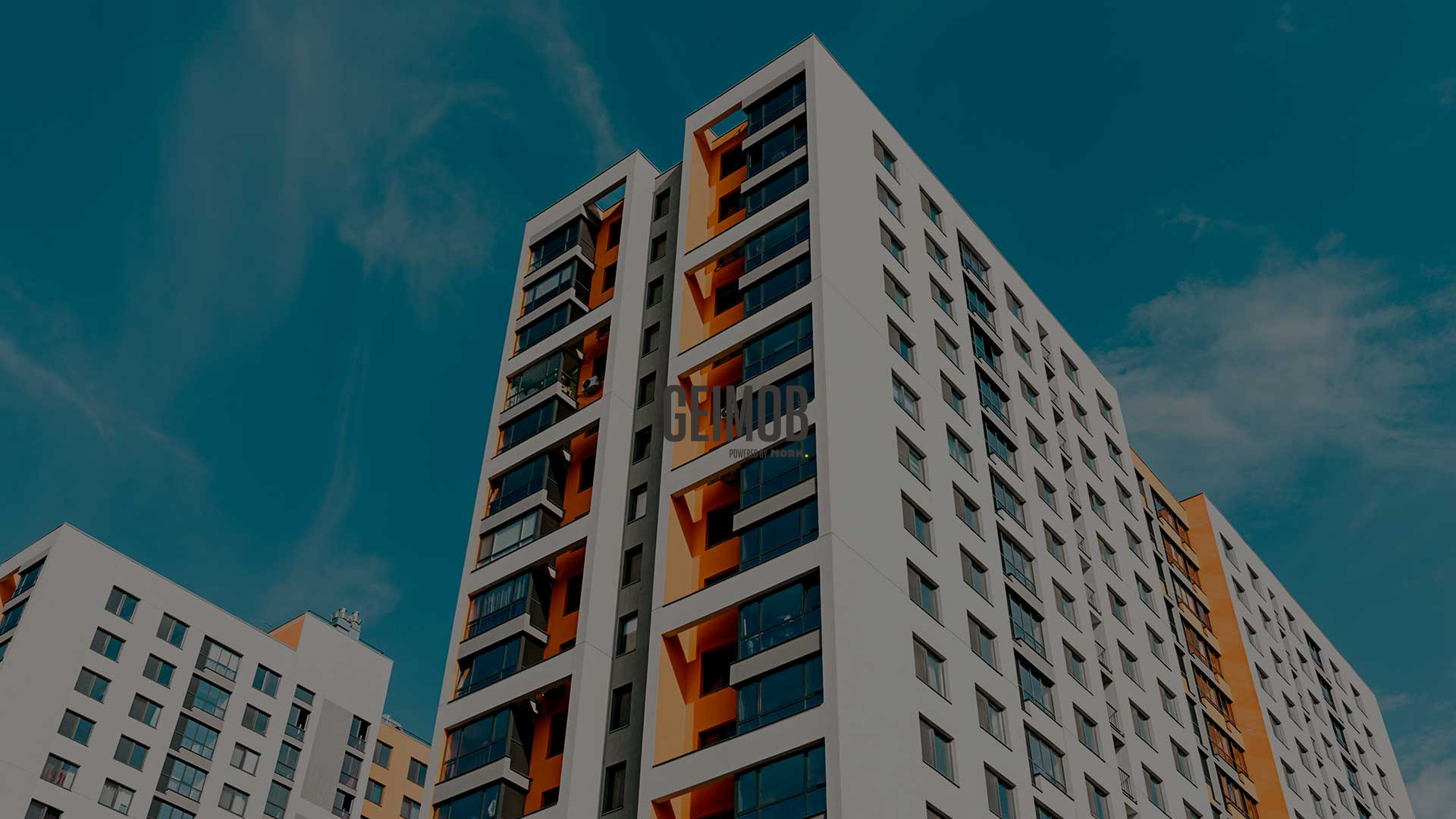 Conheça os lançamentos